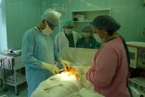 Тактико-специальное учение в  ГБУЗ Калининградской области «Гвардейская центральная районная больница»  Тактико-специальное учение в  ГБУЗ Калининградской области «Гвардейская центральная районная больница»