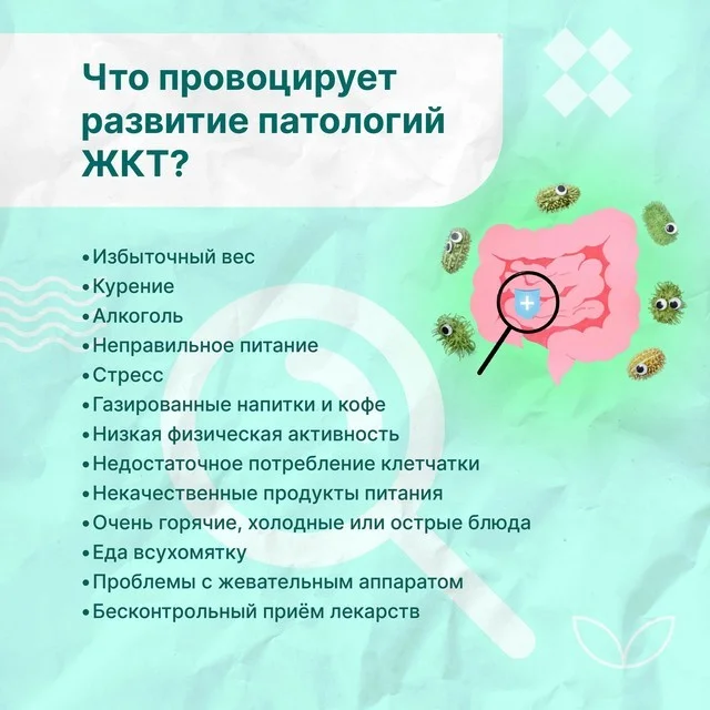 prof_zab_JKT_2.jpg prof_zab_JKT_2.jpg