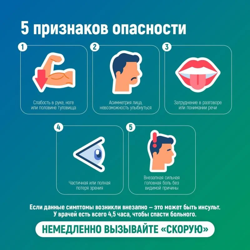 insult_2.jpg insult_2.jpg