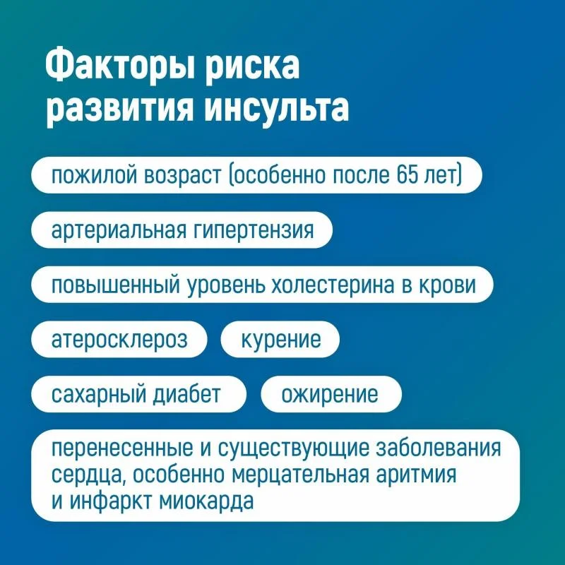 insult_3.jpg insult_3.jpg