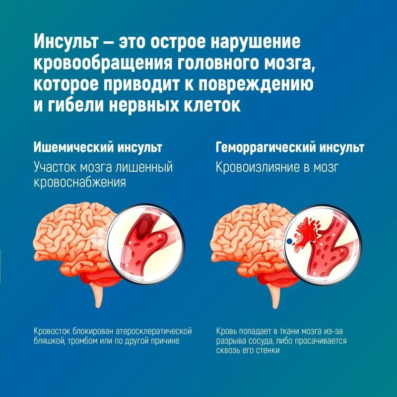 insult_1.jpg insult_1.jpg