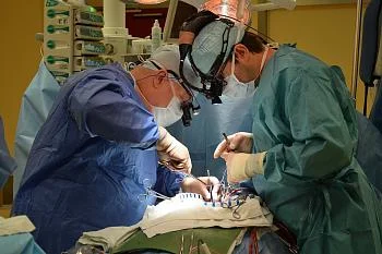 Федеральный центр высоких медицинских технологий отмечает 10-летний юбилей Федеральный центр высоких медицинских технологий отмечает 10-летний юбилей